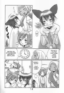 Page 9 of Ibarinbou Chihuahua - preview thumbnail