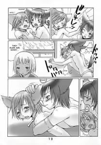 Page 10 of Ibarinbou Chihuahua - preview thumbnail