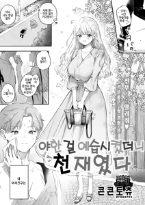 Ecchi no yoshuu o Shitara Tensaidatta｜야한 걸 예습시켰더니 천재였다 — hentai manga cover on Fhentai
