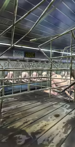 Page 73 of I tried going into a stall during a tour of the livestock barn - preview thumbnail