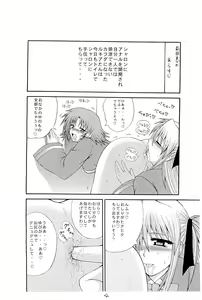 Page 4 of HEN-QMA - preview thumbnail