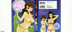 Onee-san no Yuuutsu — hentai manga cover on Fhentai