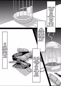 Page 4 of Shibarareda Hoshi - preview thumbnail