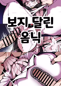 보지 달린 옴닉 - hentai manga cover image