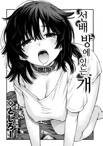 Page 3 of Senpai no Heya ni Iru Inu | 선배 방에 있는 개 - preview thumbnail