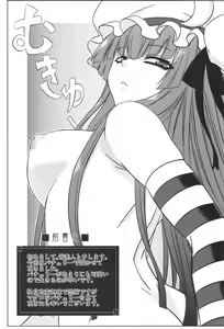 Page 3 of Patchouli to Ashi Bakari no Doujin - preview thumbnail