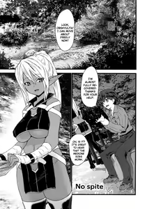 No spite - hentai manga cover image