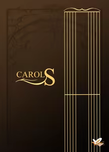 Page 28 of CAROL.S - preview thumbnail