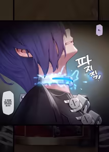 Promeia 1 (decensored) — hentai manga cover on Fhentai