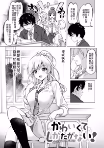 Kawaikute Shikata ga Nai! - Cute! Cute! So Cute!! - hentai manga cover image