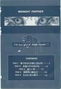 Page 4 of Midnight Panther Volume 1 - preview thumbnail