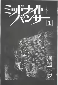 Page 5 of Midnight Panther Volume 1 - preview thumbnail