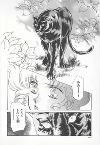 Page 154 of Midnight Panther Volume 2 - preview thumbnail