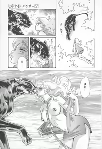 Page 155 of Midnight Panther Volume 2 - preview thumbnail