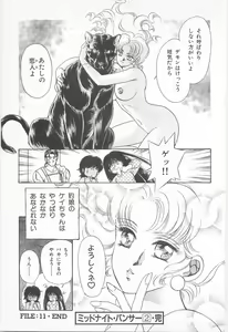 Page 161 of Midnight Panther Volume 2 - preview thumbnail