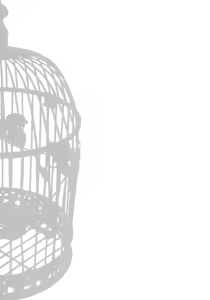 Page 28 of IDOLTIME SPECIAL BOOK YUKIHO HAGIWARA in the Bird Cage - preview thumbnail