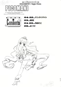 Page 3 of PICOMANI:MD - preview thumbnail
