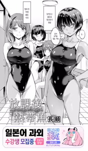 Houkago Nettaigyo | 방과후 열대어 - hentai manga cover image