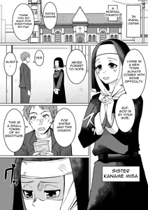 Page 2 of Haiboku e no Yuuwaku Futanari Sister | A Futanari Sister is tortured by a Succubus - preview thumbnail