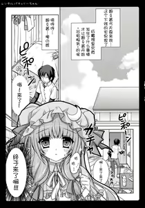 Page 5 of Rental Patchouli Chan - preview thumbnail