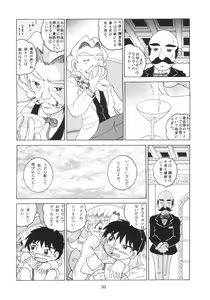 Page 29 of HI-PHS X - preview thumbnail