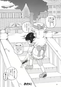 Page 30 of HI-PHS X - preview thumbnail