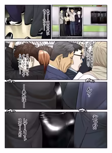 Shin Chikan Densha — hentai manga cover on Fhentai