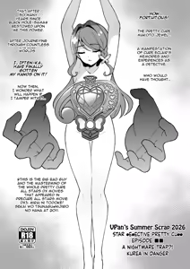 Vpan no Kirehashi 2026 Natsu | Vpan's Summer Scrap 2026  (Meitantei Precure!) + Bonus - hentai manga cover image