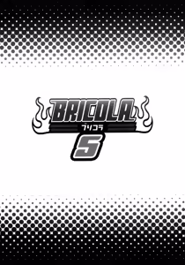 Page 22 of BRICOLA 5 - preview thumbnail