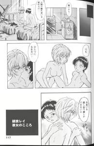 Page 117 of Project E Daigoji Chuukan Houkokusho - preview thumbnail