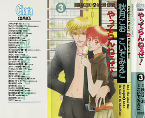 Yatteraneeze! 03 — hentai manga cover on Fhentai