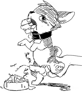 Page 242 of manmosu_marimo#2 - preview thumbnail