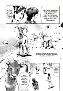 Page 3 of Nangoku no Mouflon | Mouflon of the South - preview thumbnail