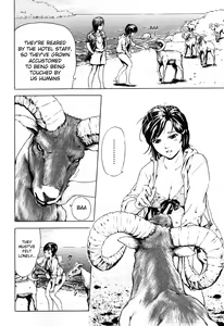 Page 4 of Nangoku no Mouflon | Mouflon of the South - preview thumbnail