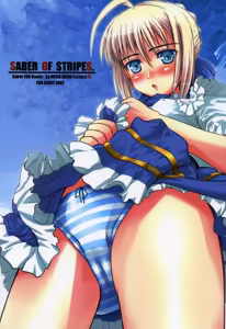 Saber of Stripes. - hentai manga cover image