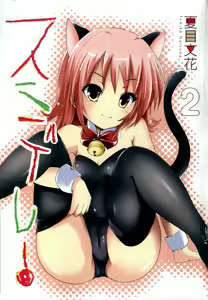 Page 3 of Sundere! Vol. 02 - preview thumbnail