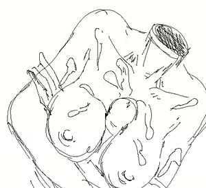 Page 30 of Suitshark - preview thumbnail