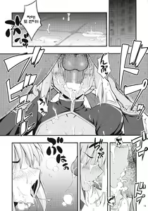 Page 13 of RE 12 - preview thumbnail