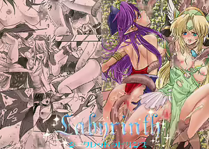 Secret Labyrinth - hentai manga cover image