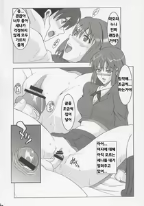 Page 7 of RENEWS - preview thumbnail
