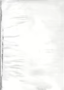 Page 3 of Amigasa Nan Demo-R - preview thumbnail