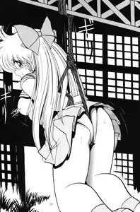 Page 25 of 2D-Shooting - preview thumbnail
