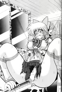 Page 26 of 2D-Shooting - preview thumbnail