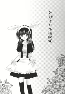 Page 3 of Tobikiri no Himitsu 3 <<Kanketsuhen>> - preview thumbnail