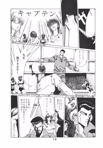 Page 20 of PAPIIT Vol.2 - preview thumbnail