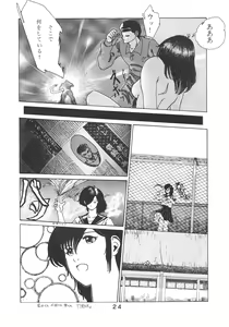 Page 25 of PAPIIT Vol.2 - preview thumbnail