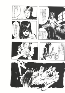 Page 29 of PAPIIT Vol.2 - preview thumbnail