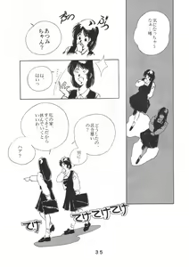 Page 36 of PAPIIT Vol.2 - preview thumbnail