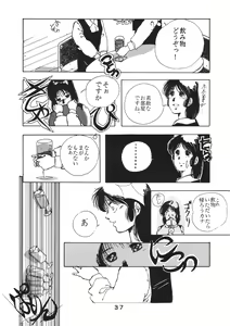 Page 38 of PAPIIT Vol.2 - preview thumbnail