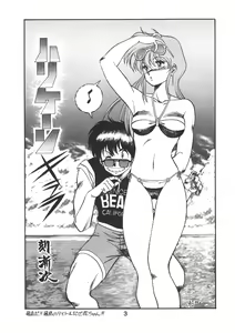 Page 4 of PAPIIT Vol.2 - preview thumbnail